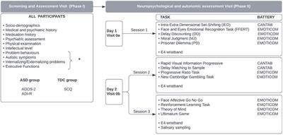 Social and executive functioning in individuals with autism spectrum disorder without intellectual disability: The case–control study protocol of the CNeSA study